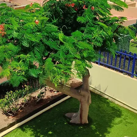 Bahía Casa de Férias *